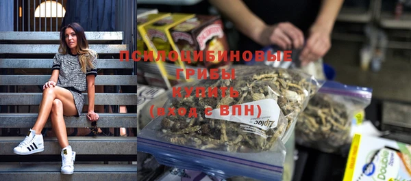 герыч Сосновый Бор