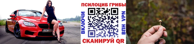Галлюциногенные грибы ЛСД  Купить закладки  Юрьев-Польский 